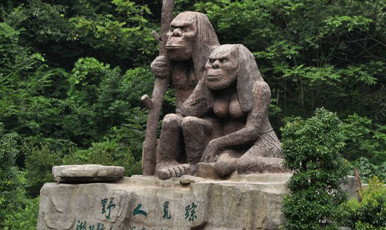 神农架野人之谜，传说中的野人很可能是棕熊433 / 作者:UFO外星人爱好者 / 帖子ID:47825