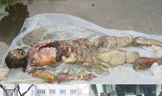 深思!盘点各地男生失踪事件,上海嘉定失踪男生尸体高度腐败897 / 作者:UFO外星人爱好者 / 帖子ID:47837