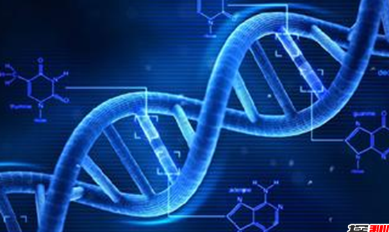 霍金超级人类警告：DNA变异出超级人类130 / 作者:UFO外星人爱好者 / 帖子ID:47822
