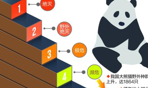 全球最濒危的10大动物 第七不到100只,第十鳞片极为珍贵79 / 作者:UFO外星人爱好者 / 帖子ID:47853
