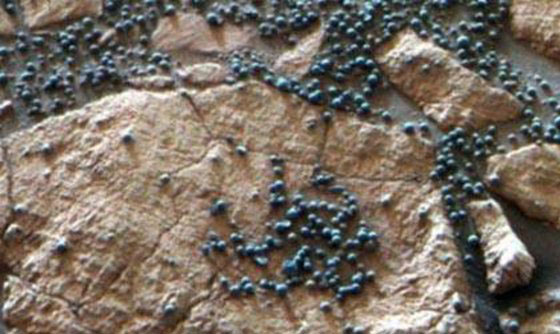 美国隐瞒火星生命？NASA为何隐瞒真相40年未曾揭露815 / 作者:伤我心太深 / 帖子ID:47936