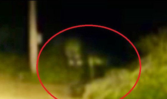 十大神秘生物怪兽档案 卓柏卡布拉牙齿尖利会吸血733 / 作者:UFO外星人爱好者 / 帖子ID:47802