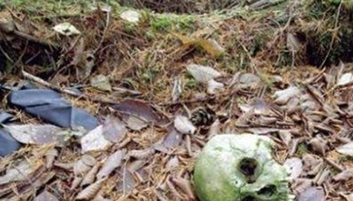 富士山下为什么恐怖,每年自杀死亡人数成百上千507 / 作者:小深 / 帖子ID:48279