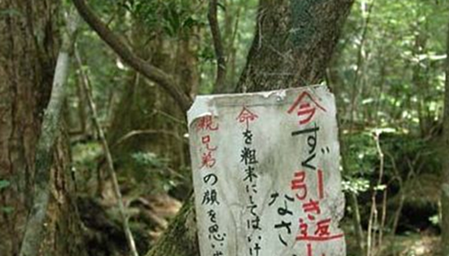 富士山下为什么恐怖,每年自杀死亡人数成百上千403 / 作者:小深 / 帖子ID:48279