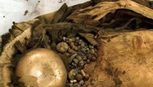 吸髓蚊存在吗,专门吸食人脑髓的吸髓蚊557 / 作者:UFO外星人爱好者 / 帖子ID:48164