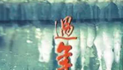 中国十大禁片有哪些,揭秘禁片被禁的真实原因957 / 作者:UFO外星人爱好者 / 帖子ID:48140