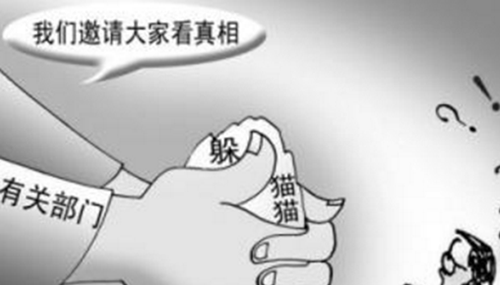云南晋宁躲猫猫事件,躲猫猫事件最终结果547 / 作者:UFO外星人爱好者 / 帖子ID:48099