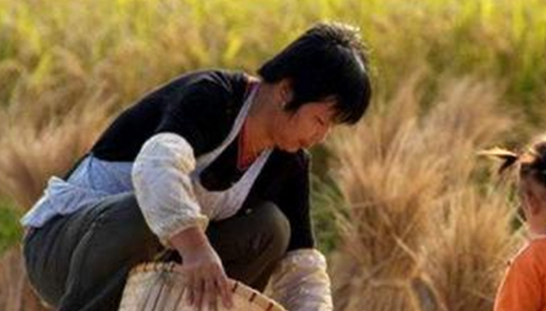 男人为何想娶农村女人,真相惊人!798 / 作者:UFO外星人爱好者 / 帖子ID:48180
