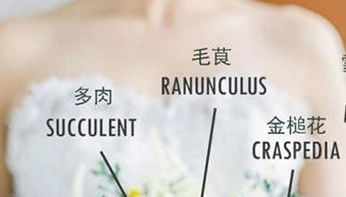 新娘为啥要拿捧花,真相让人崩溃163 / 作者:伤我心太深 / 帖子ID:48264