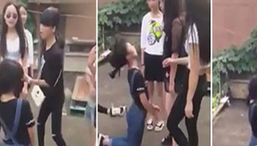 关于校园暴力事件,校园暴力产生的原因540 / 作者:小深 / 帖子ID:48309
