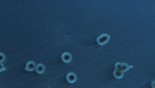 太空里有人尸吗,宇航员在太空的十大有趣经历100 / 作者:UFO外星人爱好者 / 帖子ID:48179