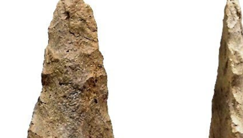 人类根本不是进化来的,尚未破解的进化十大谜团694 / 作者:小深 / 帖子ID:48319