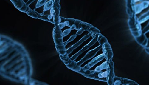 科学也会有失误,最令人恐怖的十大科学理论231 / 作者:伤我心太深 / 帖子ID:48236