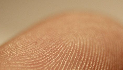 生活中有哪些科学,十大科学无法解释现象296 / 作者:UFO外星人爱好者 / 帖子ID:48154
