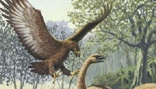 地球还存在史前生物吗,世界十大无害的史前生物78 / 作者:小深 / 帖子ID:48290
