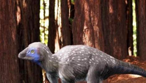 地球还存在史前生物吗,世界十大无害的史前生物371 / 作者:小深 / 帖子ID:48290
