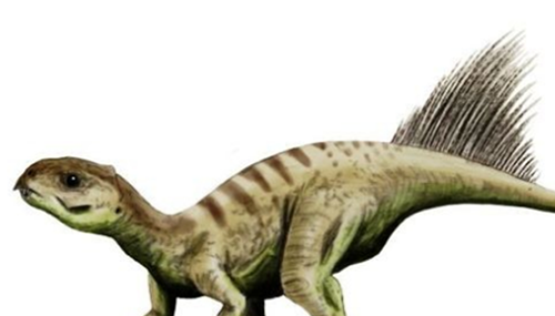 地球还存在史前生物吗,世界十大无害的史前生物644 / 作者:小深 / 帖子ID:48290