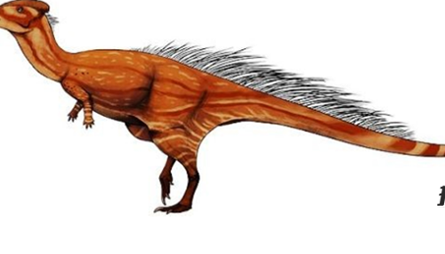 地球还存在史前生物吗,世界十大无害的史前生物373 / 作者:小深 / 帖子ID:48290
