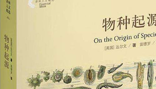 恐龙有没有羽毛,恐龙大规模灭绝的原因278 / 作者:小深 / 帖子ID:48276