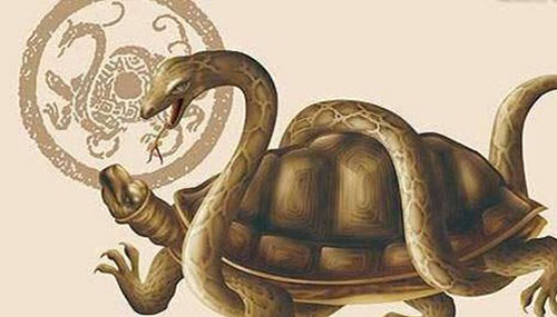 四大灵兽vs四大神兽,残忍朱雀以吃人度日100 / 作者:小深 / 帖子ID:48294