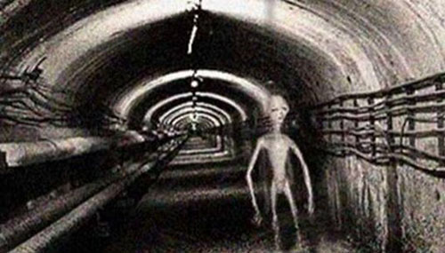 外星生物是否存在？外星人为什么不来地球684 / 作者:UFO外星人爱好者 / 帖子ID:48061