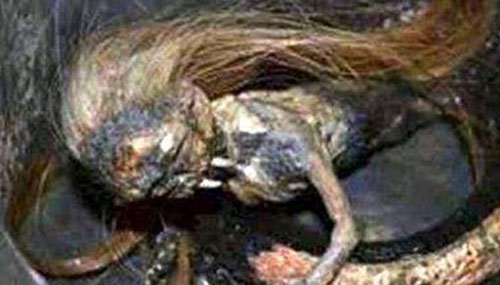 神秘世界十大未解之谜 恐是人类不能承受的真相275 / 作者:UFO外星人爱好者 / 帖子ID:48155