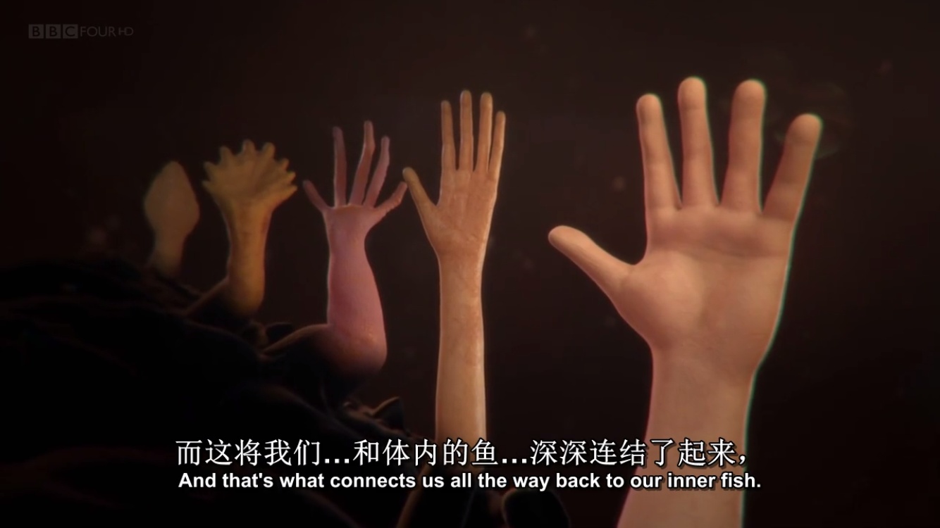 有45亿年发展史的地球为什么只产生人类一种高级智慧生命？330 / 作者:fishbiscuit456 / 帖子ID:48342