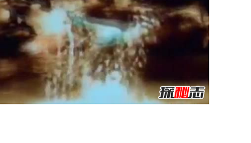 有人拍到了大恐龙,恐龙现在还存在吗-607 / 作者:爱英语的人 / 帖子ID:48424