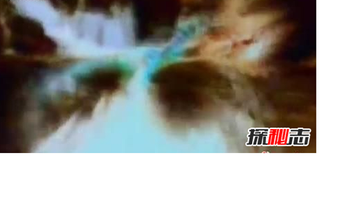 有人拍到了大恐龙,恐龙现在还存在吗-854 / 作者:爱英语的人 / 帖子ID:48424