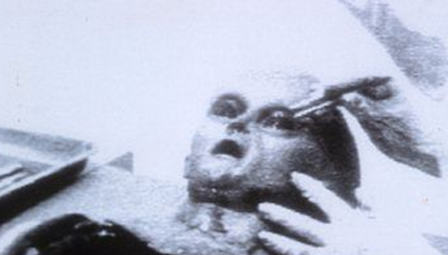 震惊全球!外星人隐居中国之谜,外星人来中国暂时避难809 / 作者:爱英语的人 / 帖子ID:48362