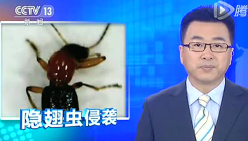 硫酸蚁是什么,怎样预防605 / 作者:小深 / 帖子ID:48578