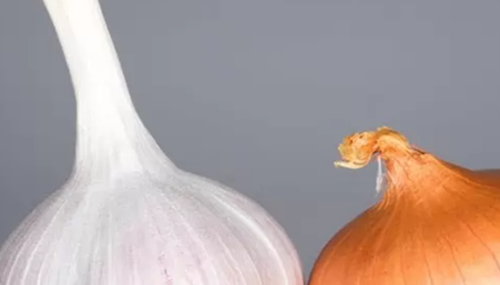 养狗第一天就后悔了?狗狗不能吃的10种食物940 / 作者:明明是我 / 帖子ID:48618