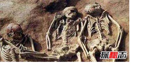 内蒙古4米巨人是真的吗,史前巨人是真的假的？694 / 作者:爱英语的人 / 帖子ID:48358