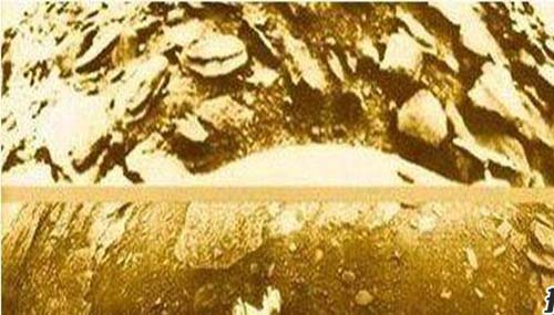霍金其实是外星人,霍金是如何证明外星人存在的772 / 作者:爱英语的人 / 帖子ID:48464