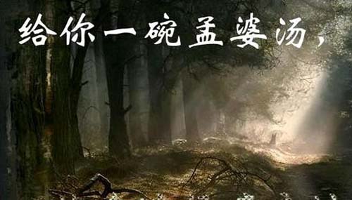 不愿意喝孟婆汤代价,小白猪转世成人看见屠夫就逃跑879 / 作者:爱英语的人 / 帖子ID:48481