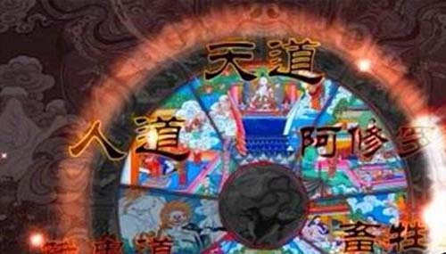 六道轮回真实案例,夜载五人竟是去投猪胎的62 / 作者:爱英语的人 / 帖子ID:48371