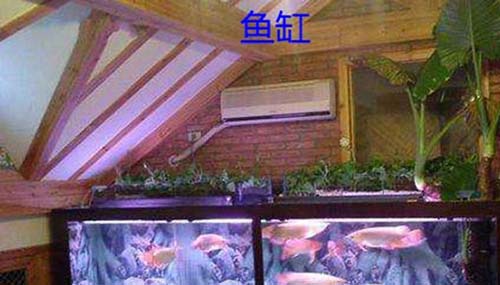 装修风水十大禁忌,居住者五行喜忌很重要啊!109 / 作者:爱英语的人 / 帖子ID:48511