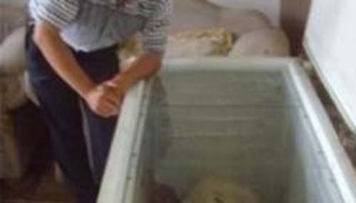 电网电死外星人是真的吗-揭秘电死外星人事件的真相45 / 作者:爱英语的人 / 帖子ID:48404