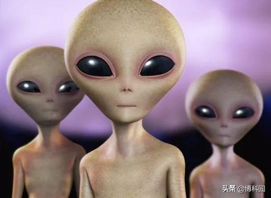 用气味，能否找到外星人？外星会喷出有毒，有臭味的气体646 / 作者:m1717 / 帖子ID:48526
