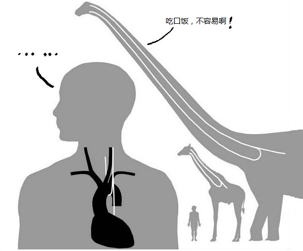 人类有没有可能是被设计出来的？619 / 作者:darny / 帖子ID:48581