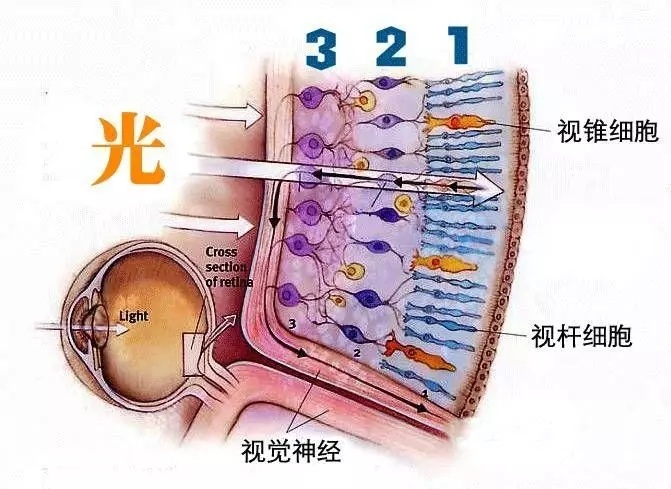 人类有没有可能是被设计出来的？742 / 作者:darny / 帖子ID:48581