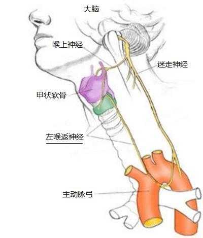 人类有没有可能是被设计出来的？729 / 作者:darny / 帖子ID:48581