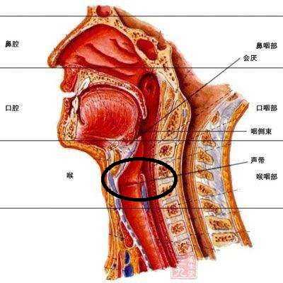 人类有没有可能是被设计出来的？75 / 作者:darny / 帖子ID:48581