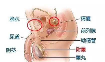 人类有没有可能是被设计出来的？208 / 作者:darny / 帖子ID:48581