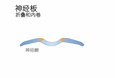 人类有没有可能是被设计出来的？147 / 作者:darny / 帖子ID:48581