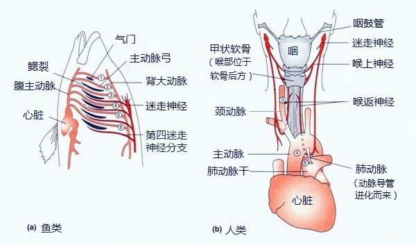人类有没有可能是被设计出来的？192 / 作者:darny / 帖子ID:48581