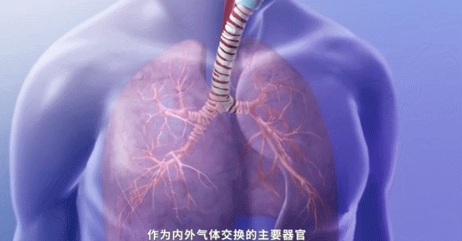 人类有没有可能是被设计出来的？610 / 作者:darny / 帖子ID:48581