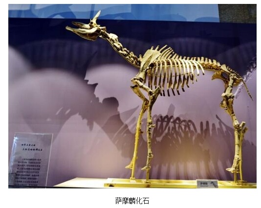 人类有没有可能是被设计出来的？388 / 作者:darny / 帖子ID:48581