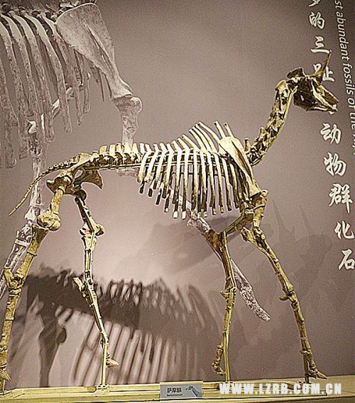 人类有没有可能是被设计出来的？4 / 作者:darny / 帖子ID:48581