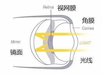 人类有没有可能是被设计出来的？223 / 作者:darny / 帖子ID:48581